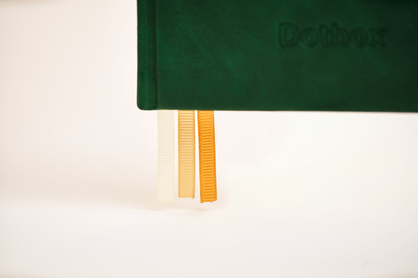 Dotbox Journal